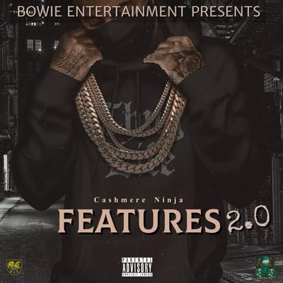 Features Vol. 2.0's cover
