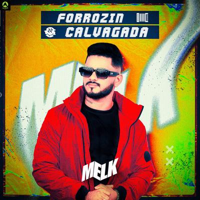 Forrózin Calvagada By djmelk, Alysson CDs Oficial, Rave Produtora's cover