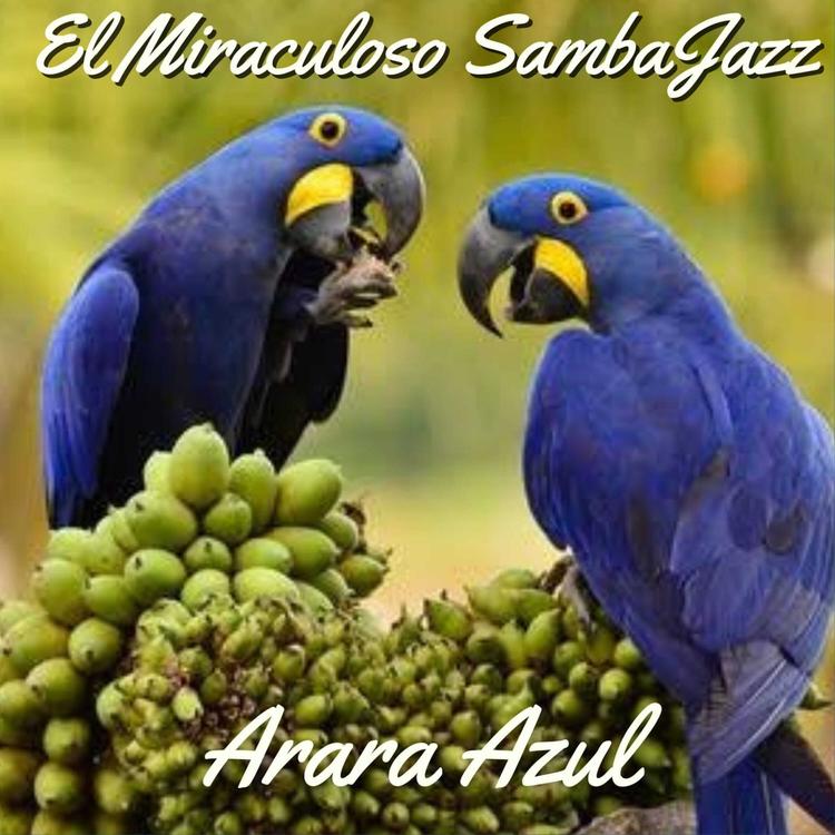 El Miraculoso SambaJazz's avatar image