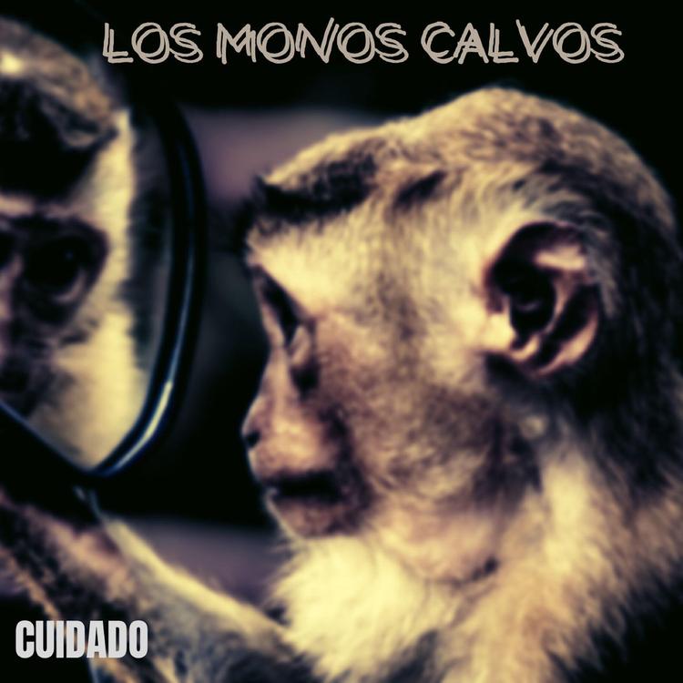 Los Monos Calvos's avatar image