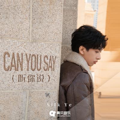 Can you say (听你说)'s cover