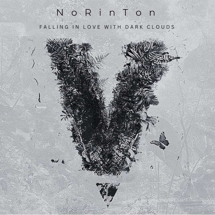 NoRinTon's avatar image