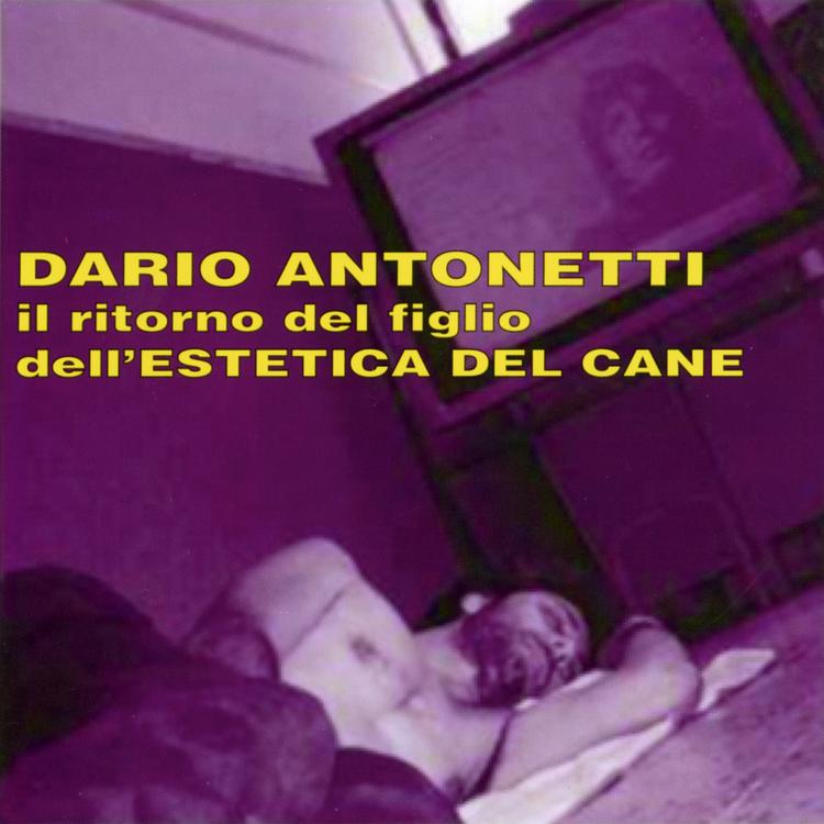 Dario Antonetti's avatar image