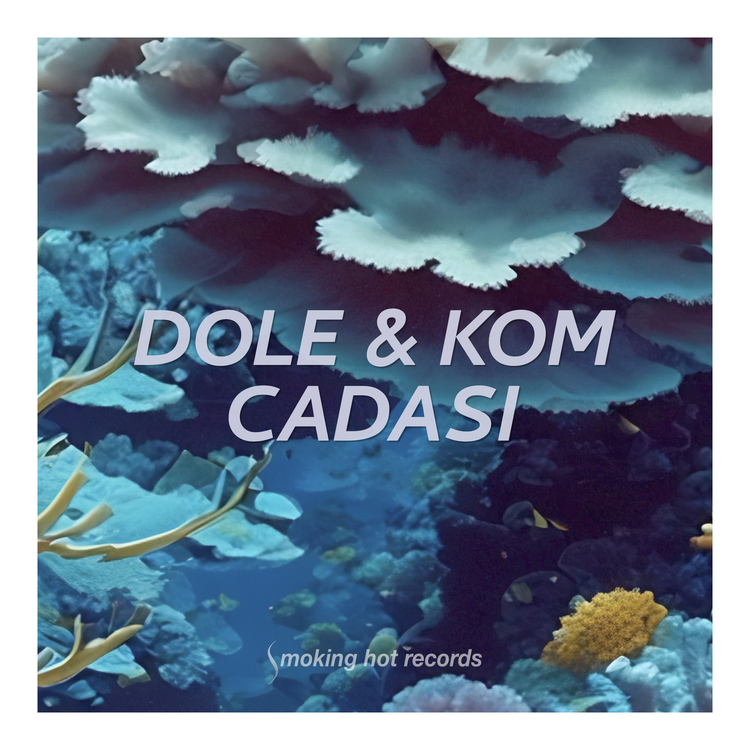 Dole & Kom's avatar image