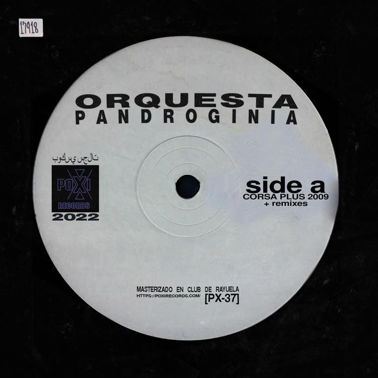 Orquesta Pandroginia's avatar image