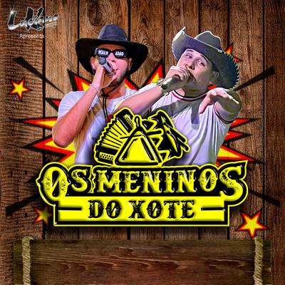 Sangue Forrozeiro (Ao Vivo) By Os Meninos do Xote's cover