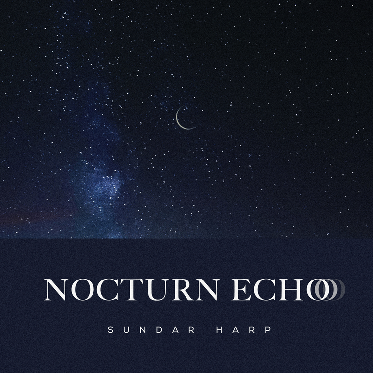 Nocturn Echo's avatar image