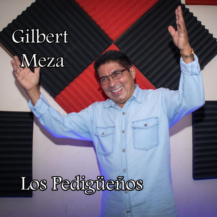 Gilbert Meza's avatar image