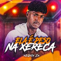 Neguin ZN's avatar cover