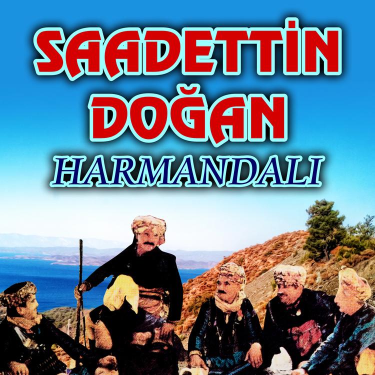 Saadettin Doğan's avatar image