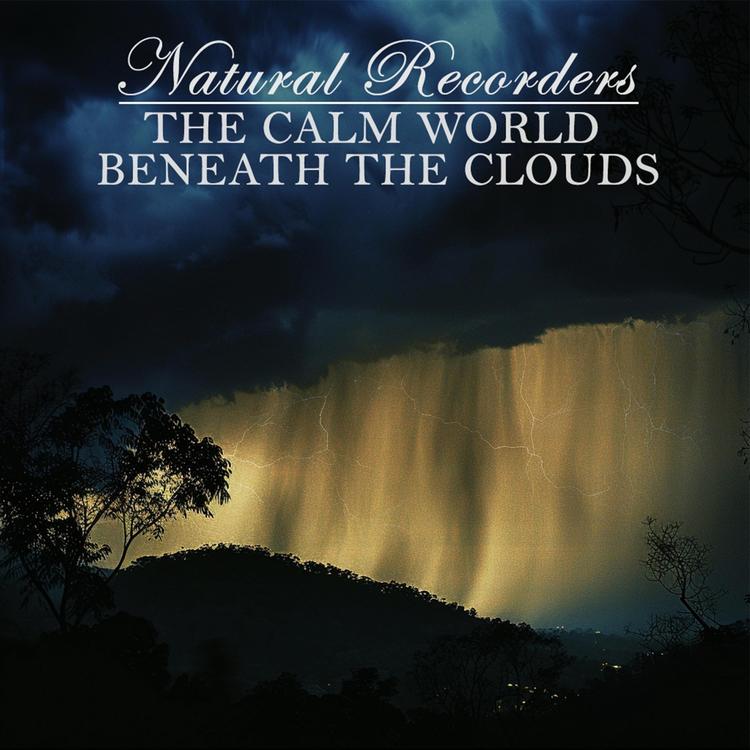 Natural Recorders's avatar image