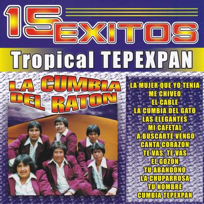 Cumbia Tepexpan's cover