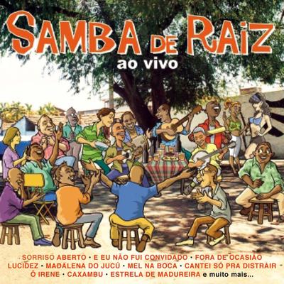 Samba de Raiz - Ao Vivo's cover