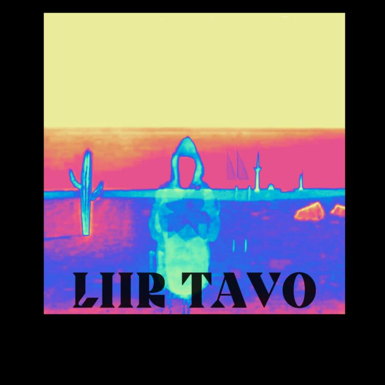 Liir Tavo's avatar image