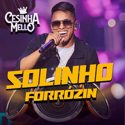 Solinho Forrózin By CESINHA MELLO's cover