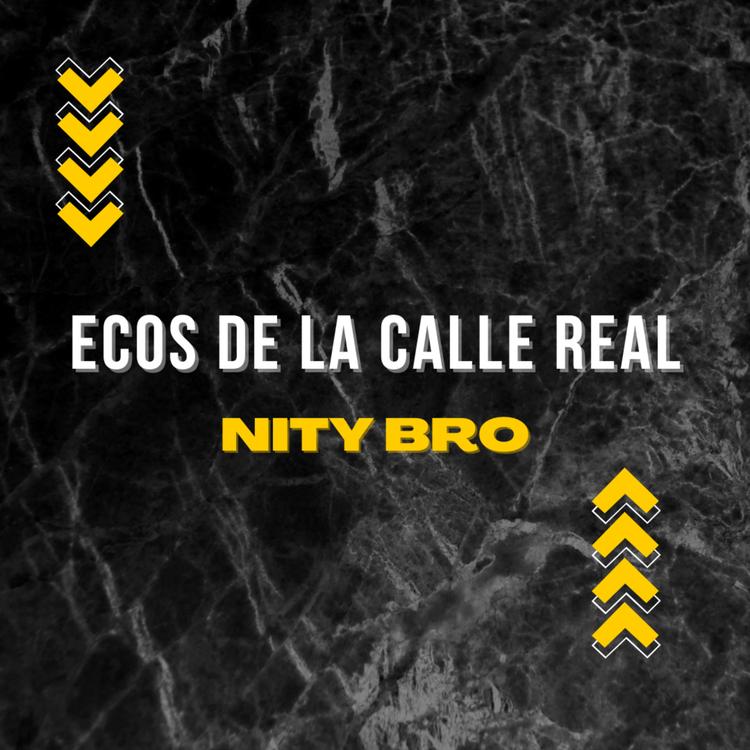 Nity Bro's avatar image