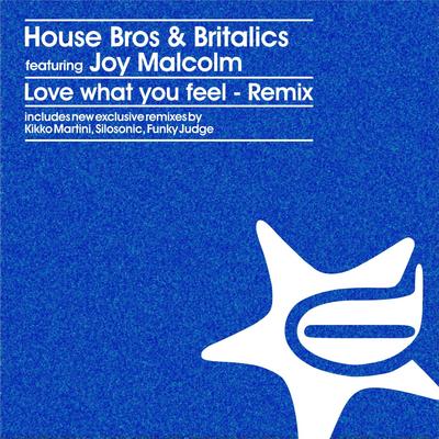 Love What You Feel ( Remix )'s cover