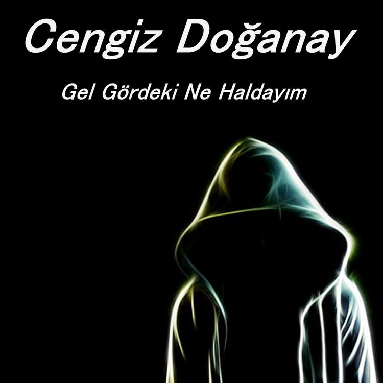 Cengiz Doğanay's avatar image