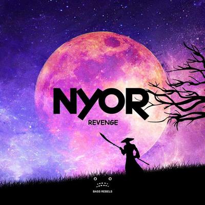 Revenge By NYOR's cover