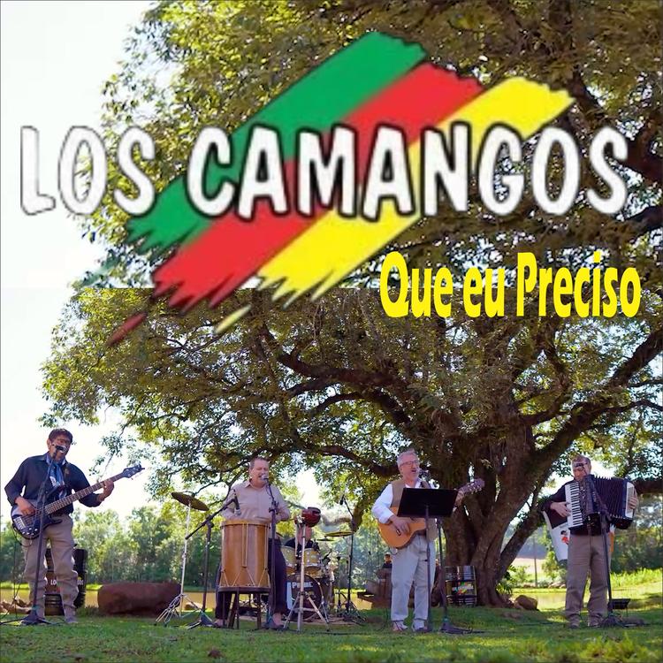 Los Camangos's avatar image