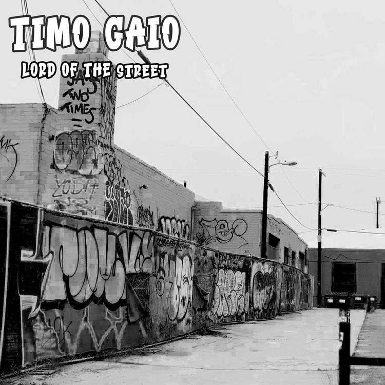 Timo Gaio's avatar image