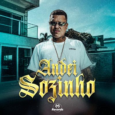 Andei Sozinho's cover