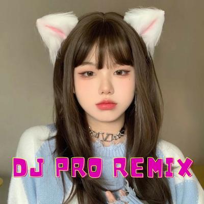 DJ PRO REMIX's cover