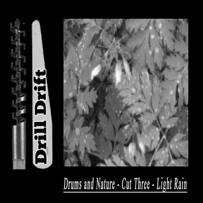 Drums and Nature (Cut Three Light Rain)'s cover