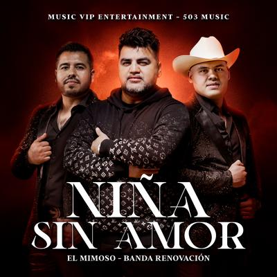 NIÑA SIN AMOR's cover