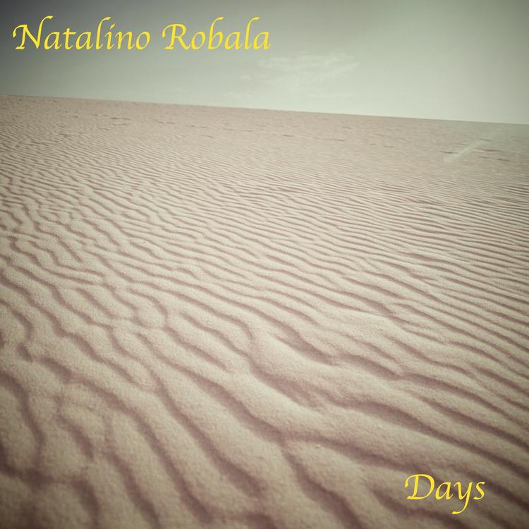 Natalino Robala's avatar image