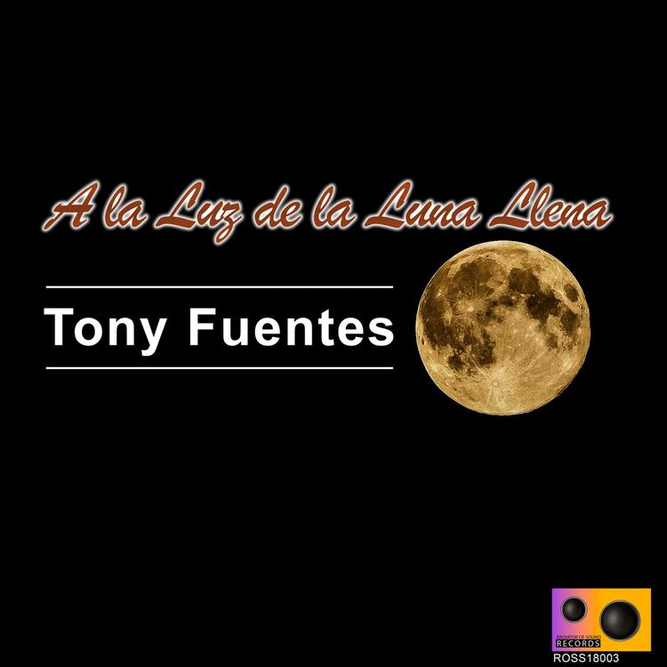 Tony Fuentes's avatar image
