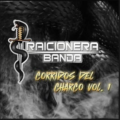 BAÑADO EN POLVO's cover