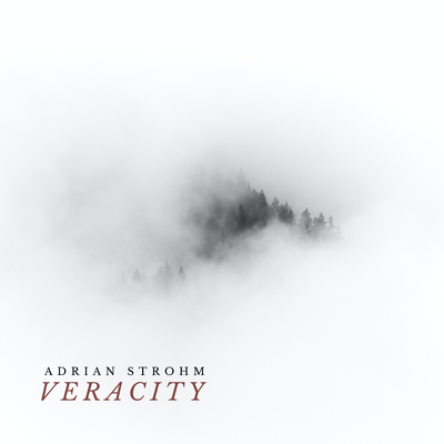 Veracity By Adrian Strohm's cover