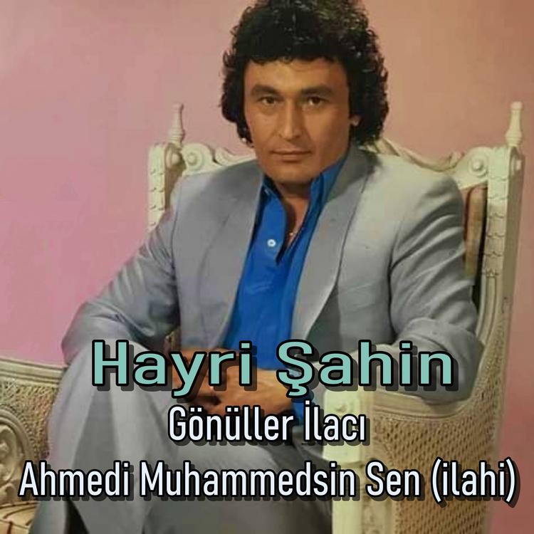 Hayri Şahin's avatar image