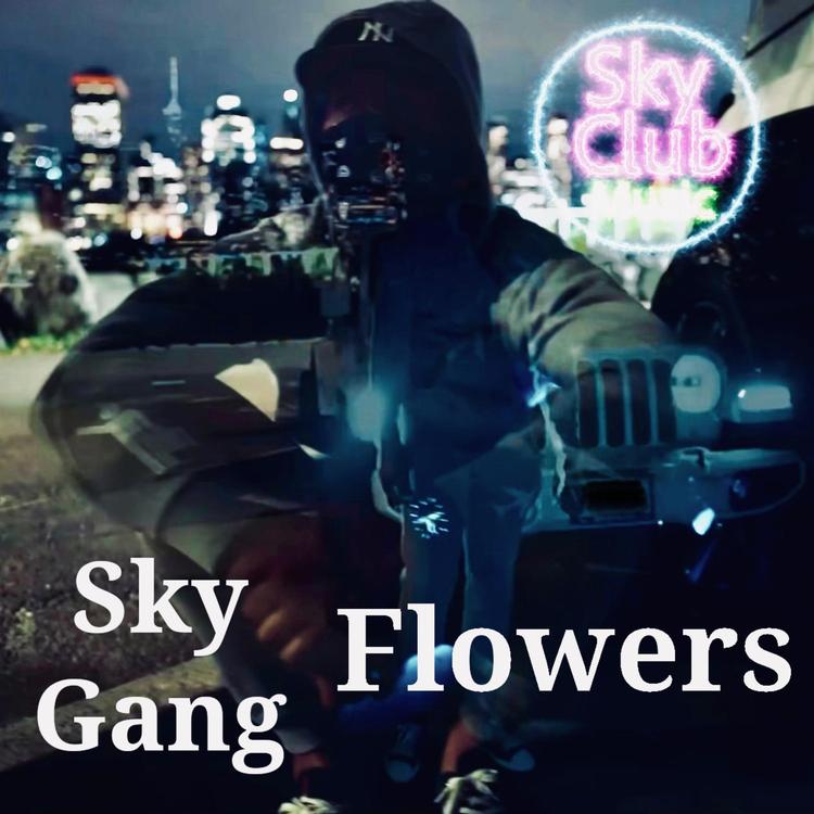 Sky Gang's avatar image