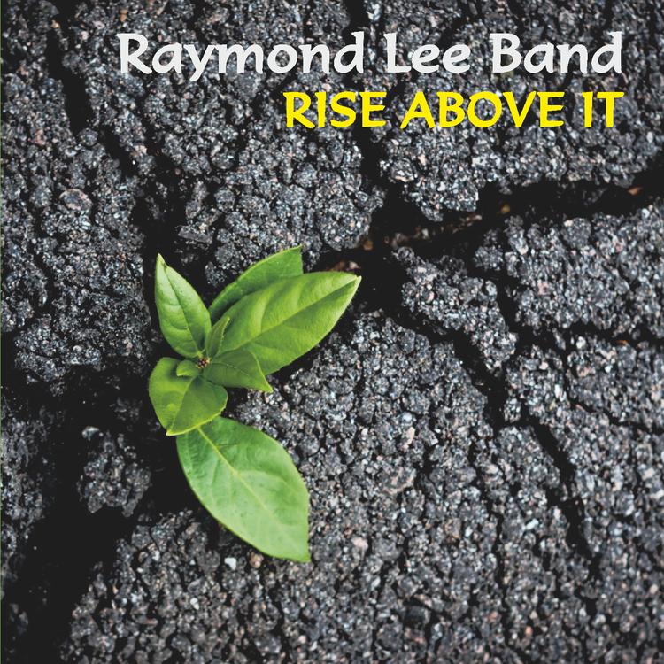 Raymond Lee Band's avatar image