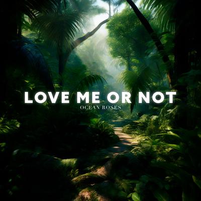 Love Me Or Not By Ocean Roses's cover