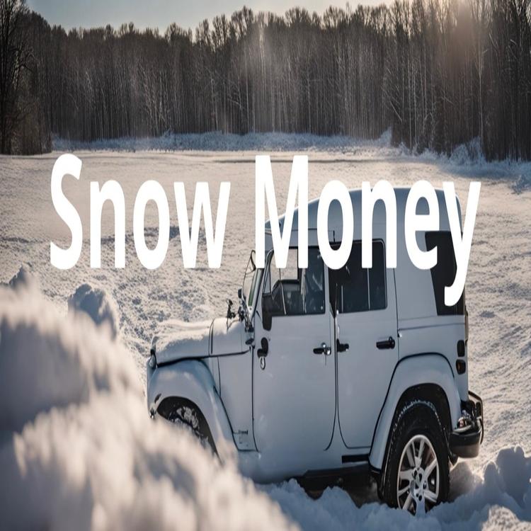 Snow Money's avatar image