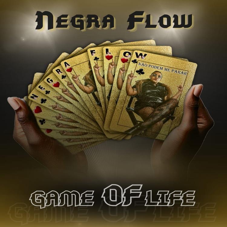 NegraFlow's avatar image