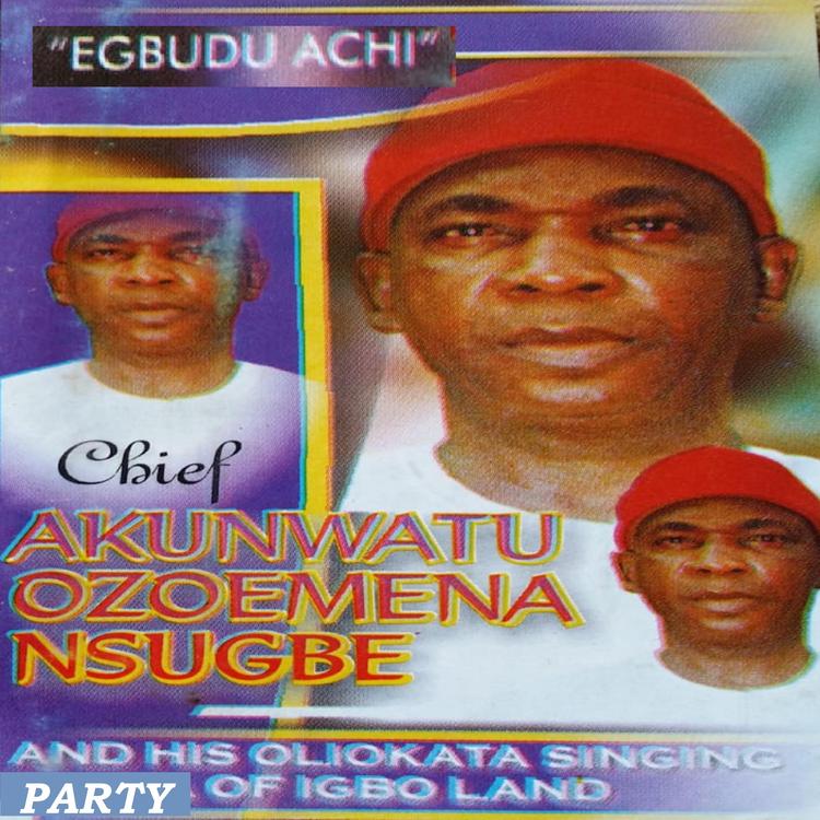 Chief Dr Akunwata Ozoemena Nsugbe's avatar image