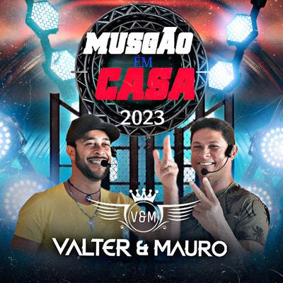 Vou Tomar um Pingão By Valter e Mauro's cover