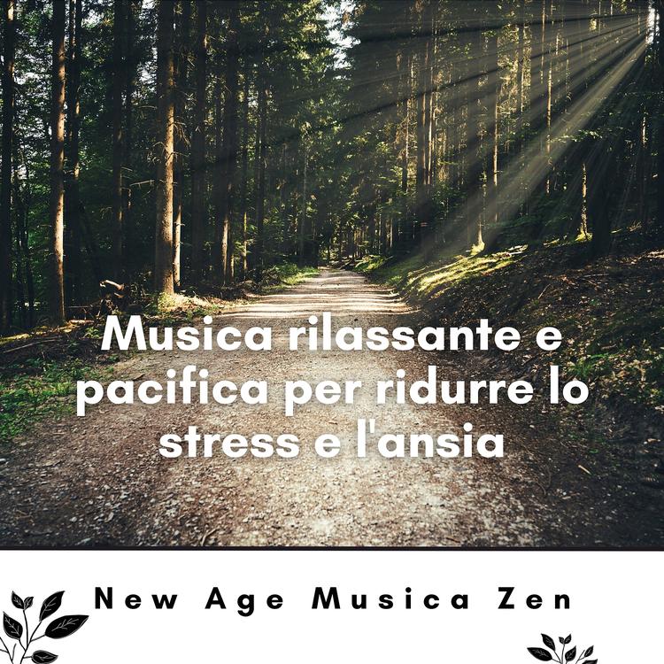 New Age Musica Zen's avatar image
