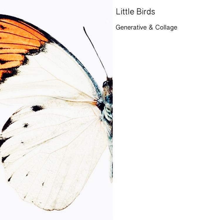 Little Birds's avatar image