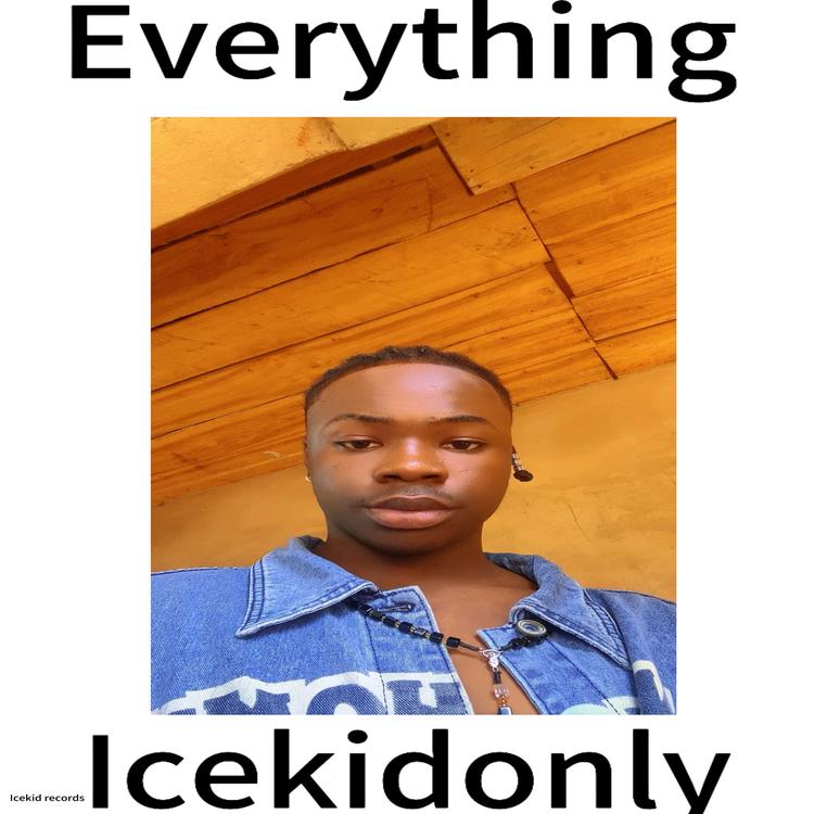 Icekidonly's avatar image