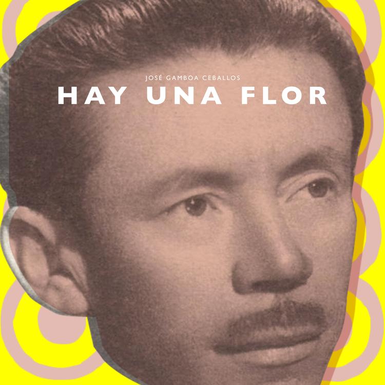 José Gamboa Ceballos's avatar image