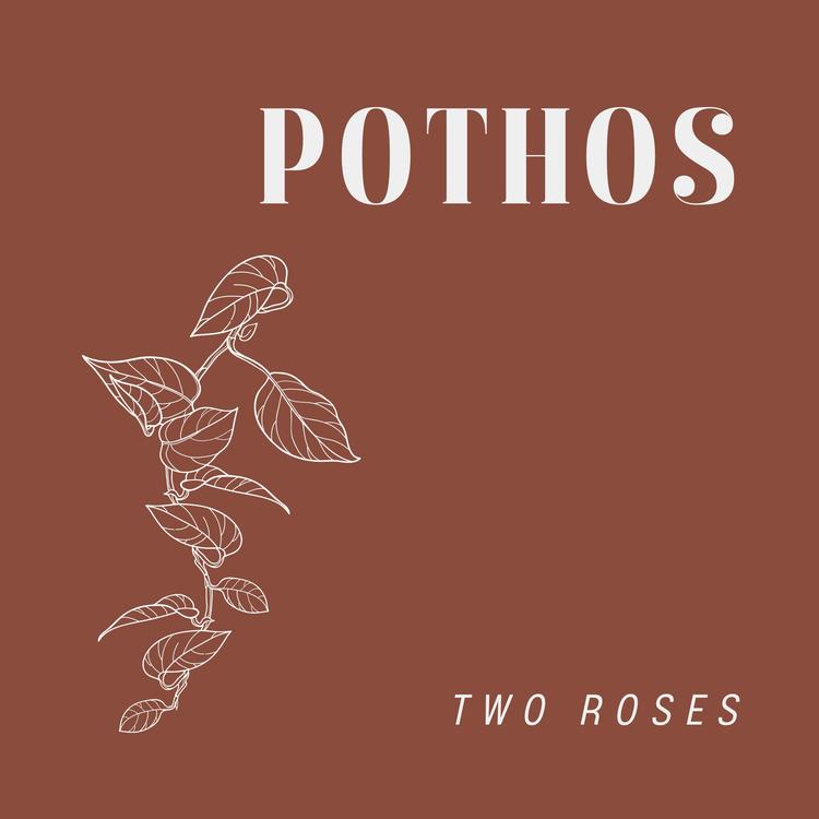 Two Roses's avatar image