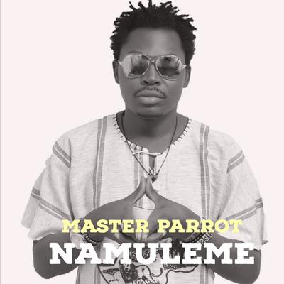 Namuleme's cover