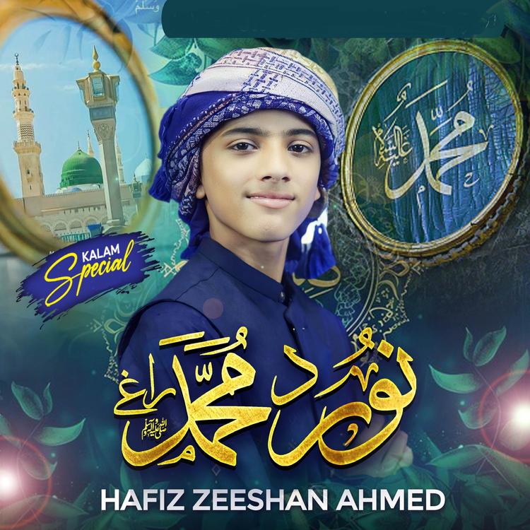 Hafiz Zeeshan Ahmed's avatar image