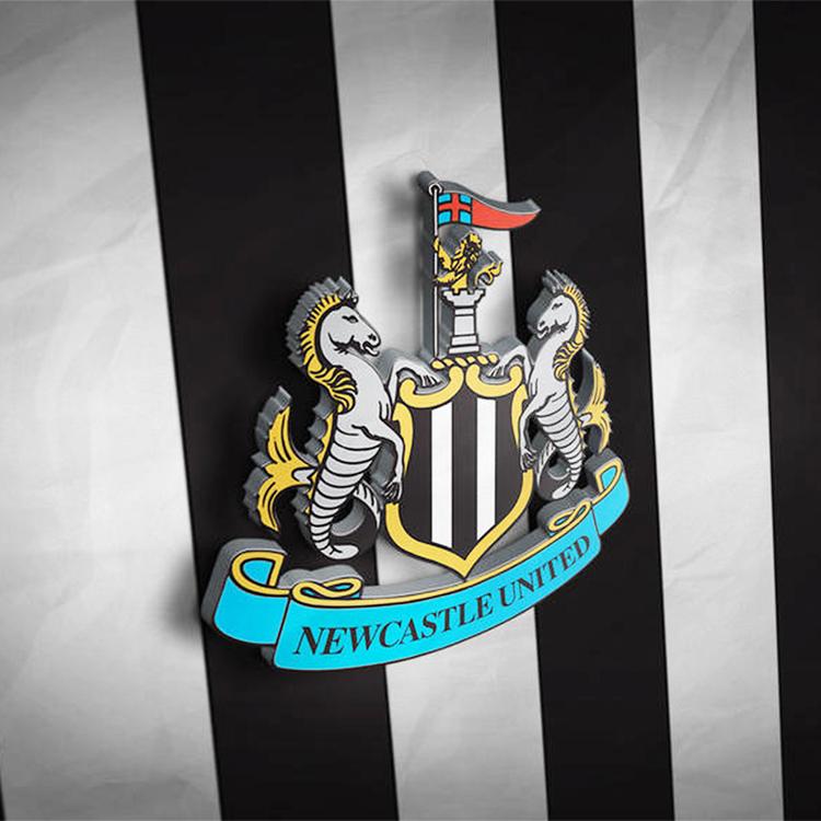 Newcastle United Fan Band's avatar image