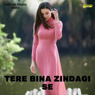 Tere Bina Zindagi Se's cover